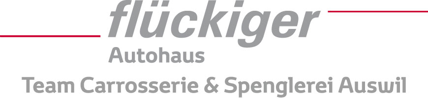 flückiger Autohaus - Team Carrosserie & Spenglerei Auswil, Fabio Bucherini