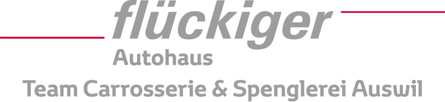 flückiger Autohaus - Team Carrosserie & Spenglerei Auswil, Luca Nyfeler