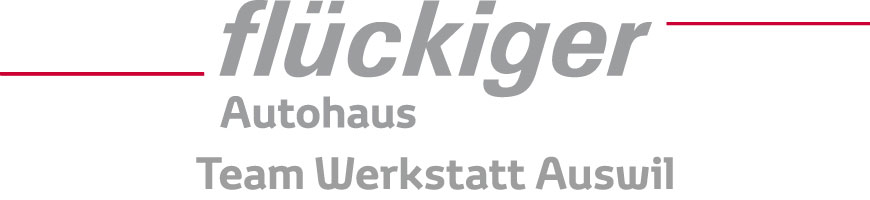 flückiger Autohaus Auswil - Team Werkstatt - Andrin Keller